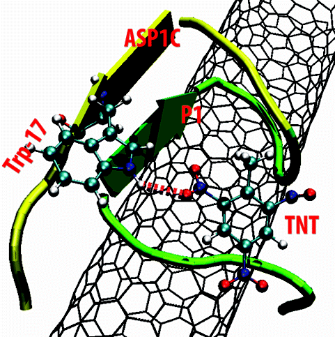 Peptide Sensing TNT